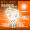 https://cdn.etm.ru/ipro/10000091/ledvance_page.jpg